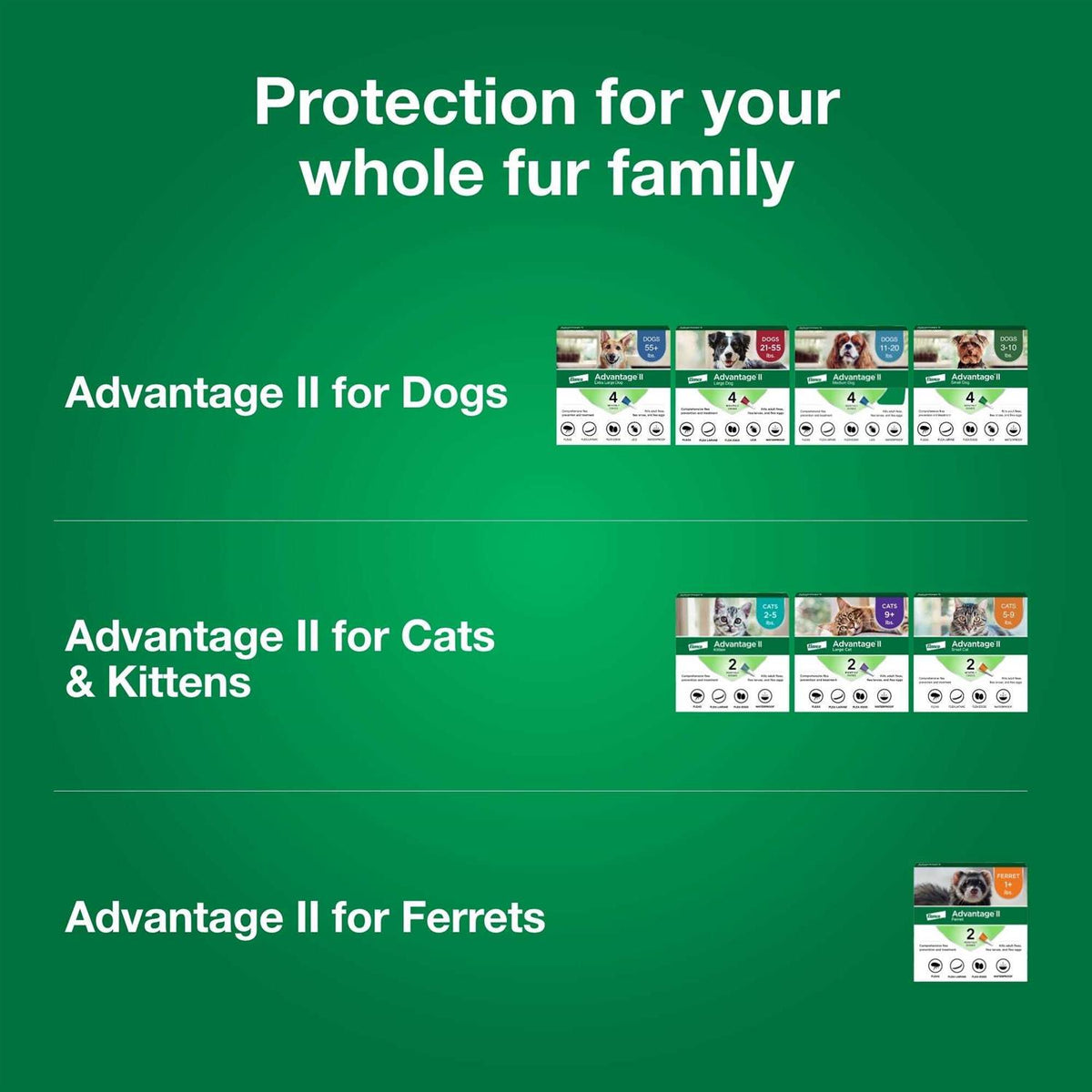Advantage II for Dogs 3 F5617