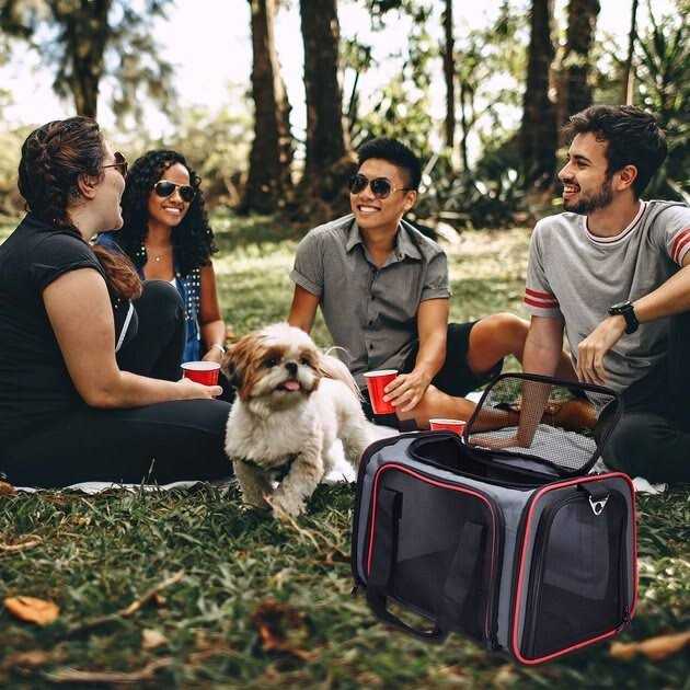 Soft-Sided Pet Carrier Q5953