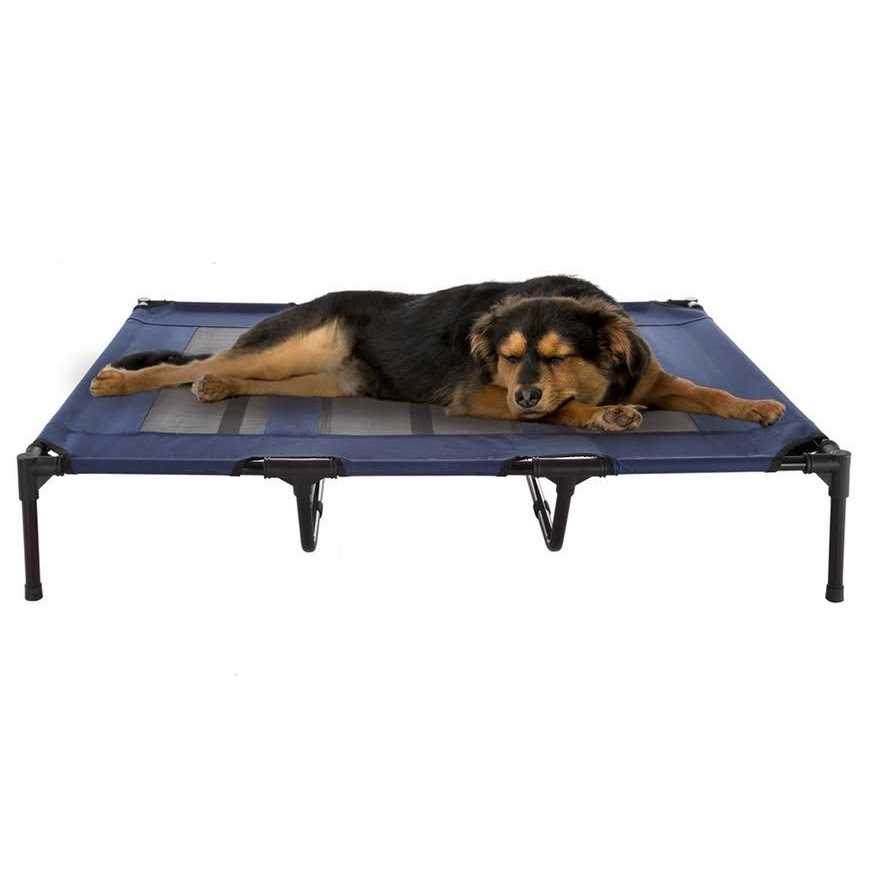Elevated Pet Bed L30002