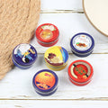 1/12 Scale Dollhouse Miniature Cookies Chocolate Snacks Pretend Play Food M352