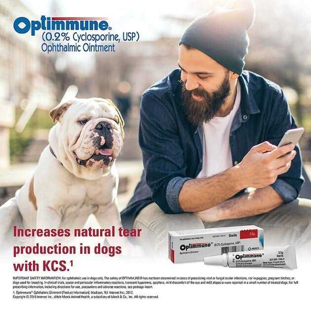 Ophthalmic Ointment for Dogs W118663
