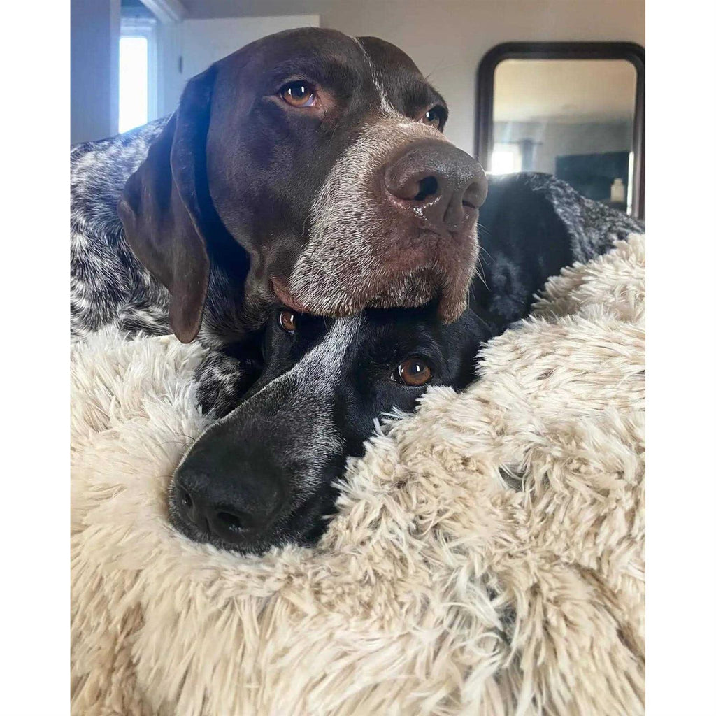Dog Waterproof Blanket X28280