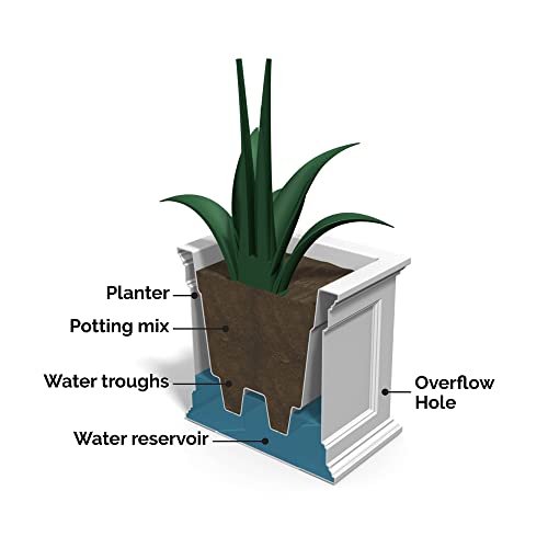 Black Rectangle Planter with Built-In Water Reservoir C83877