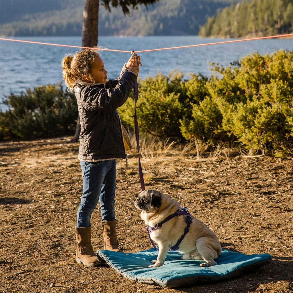 Dog Hitch S80058