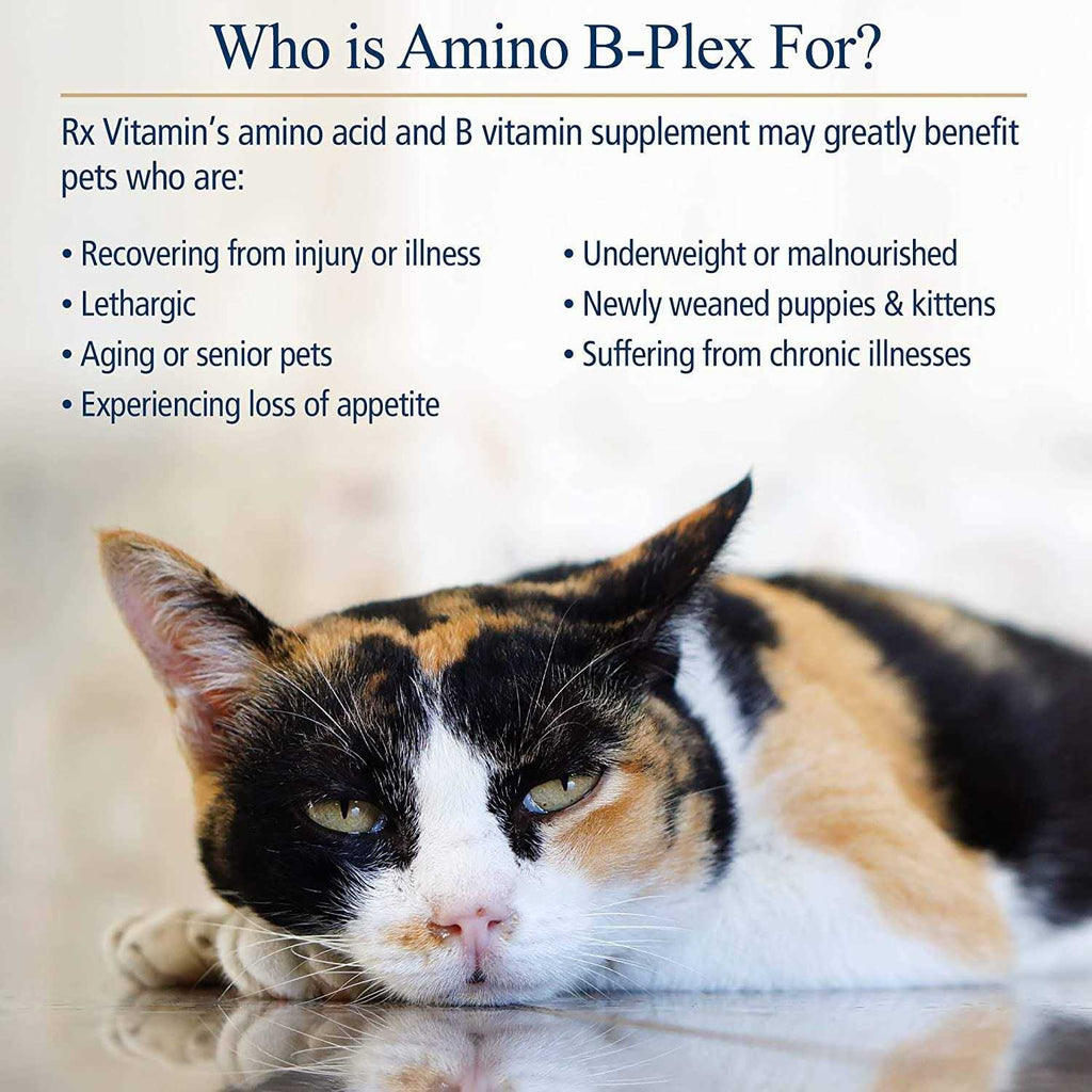 Amino B Plex for Pets W654
