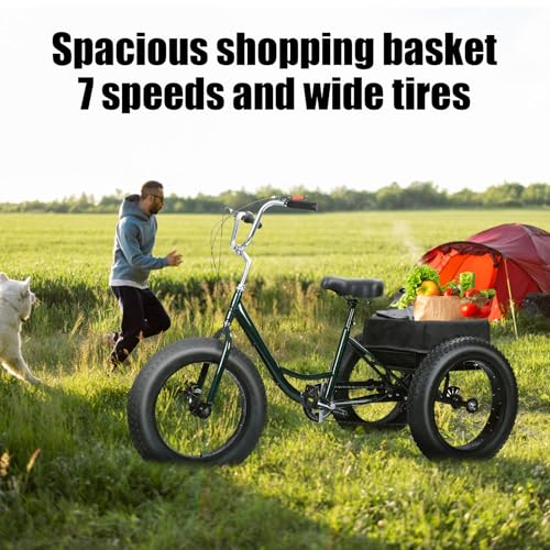 20 Inch 7 Speed Adult Tricycle with Double Disc Brake C994279