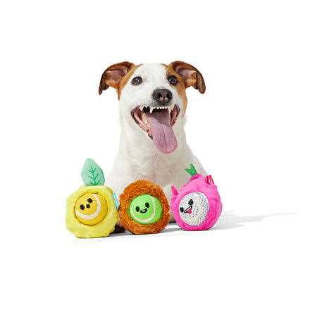 Dog Toys Squeaker Ball Toys J707