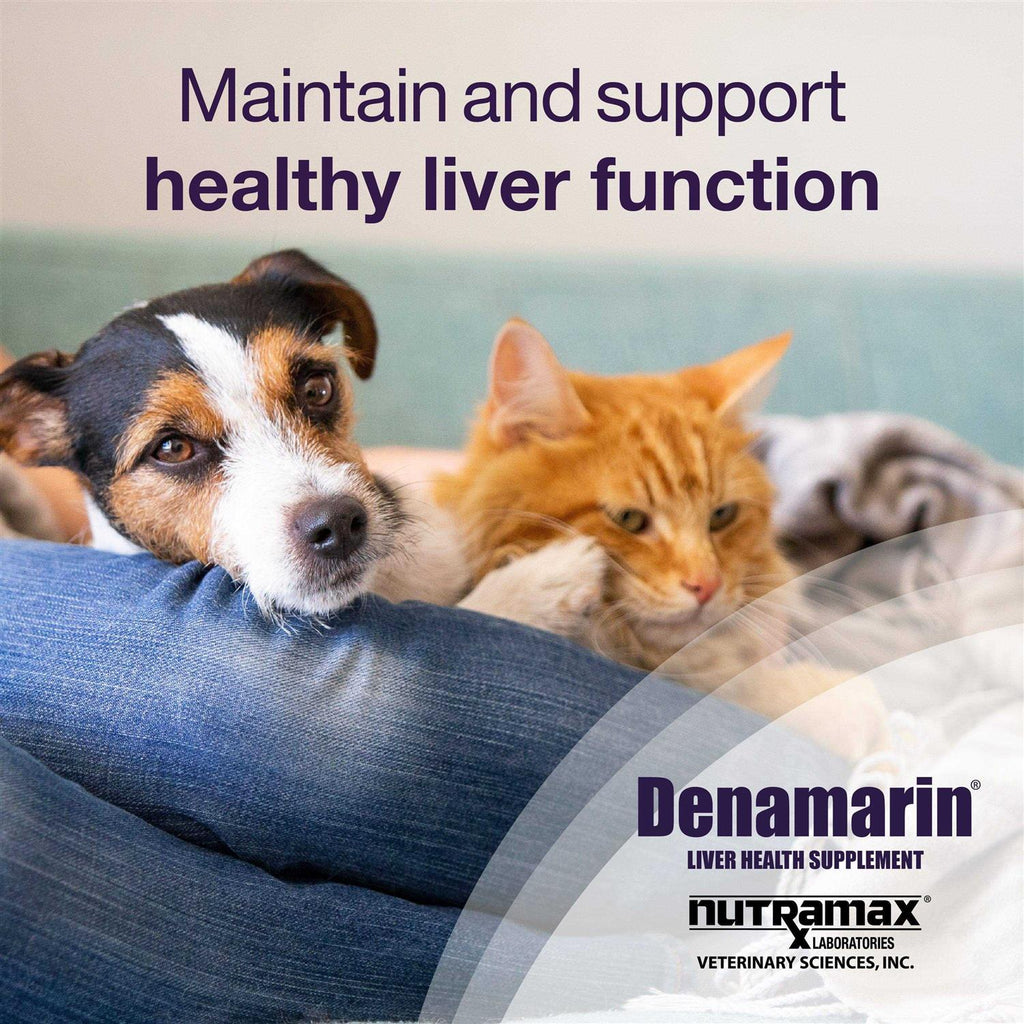 Denamarin for Cats and Small Dogs R2215