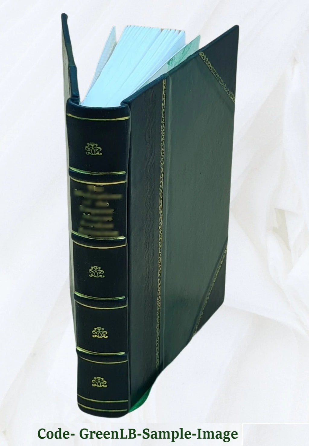 Leather Bound Book M132