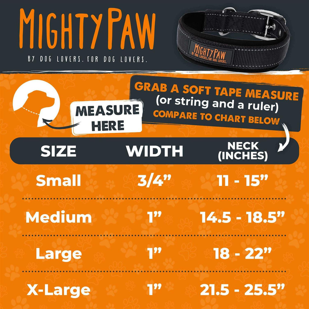 Dog Collar W319279