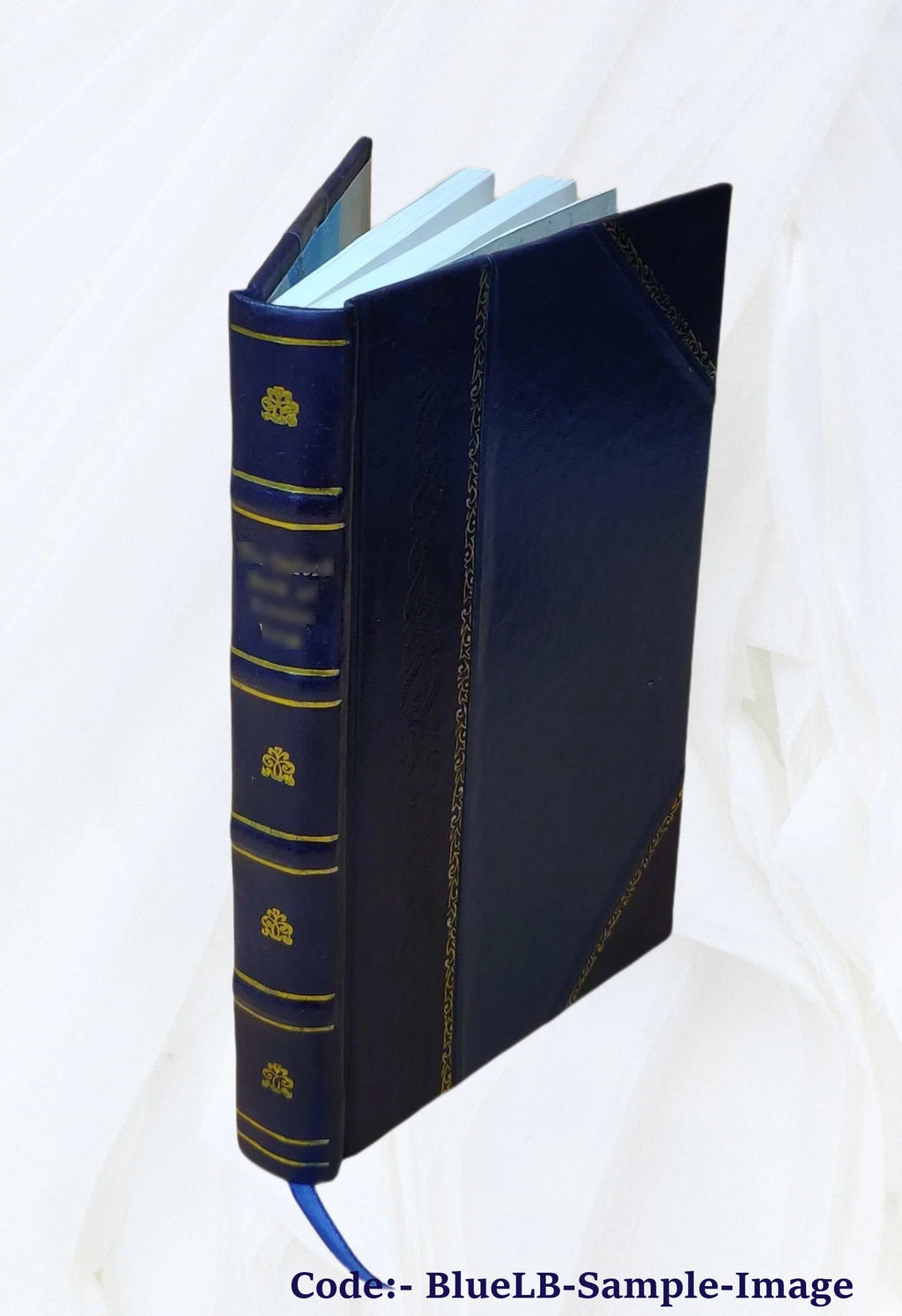 Leather Bound Book O210662