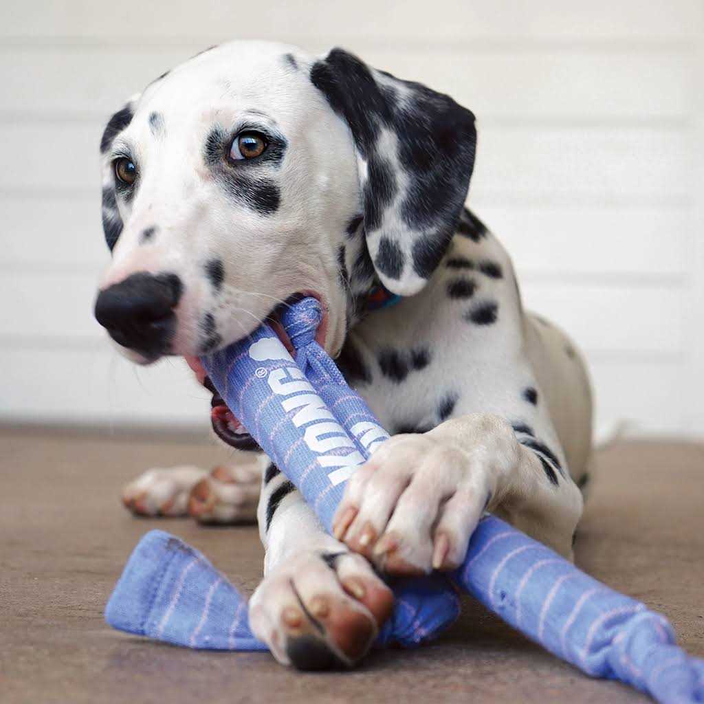 Rope Dog Toy B802189