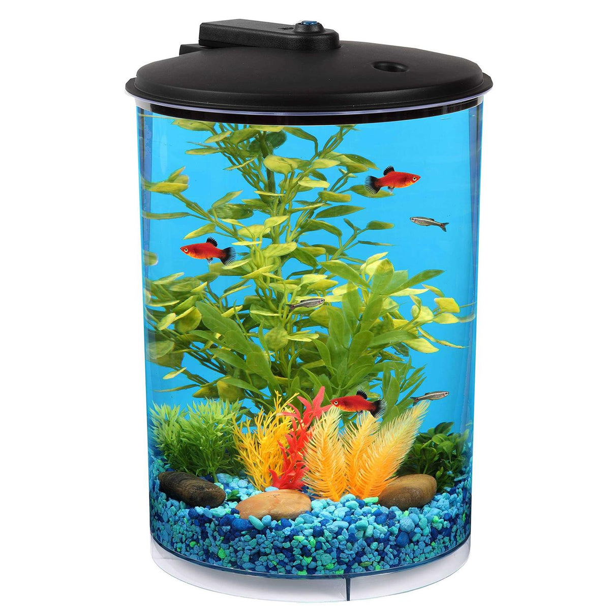 3-Gallon Aquarium with LED Lighting and Power Filter Y850637