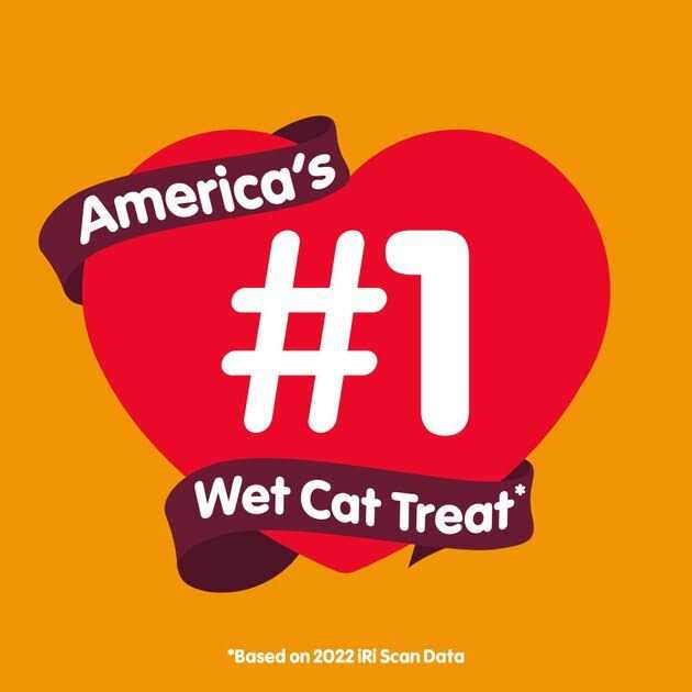 Tuna Wet Cat Treat 1.4oz V552
