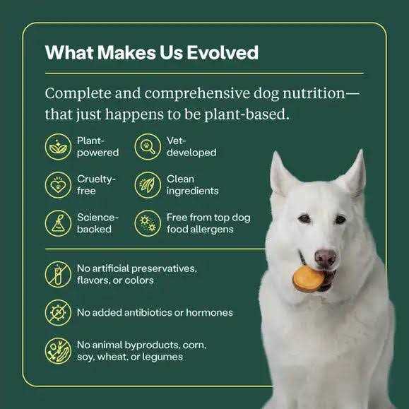 Dry Dog Food J153