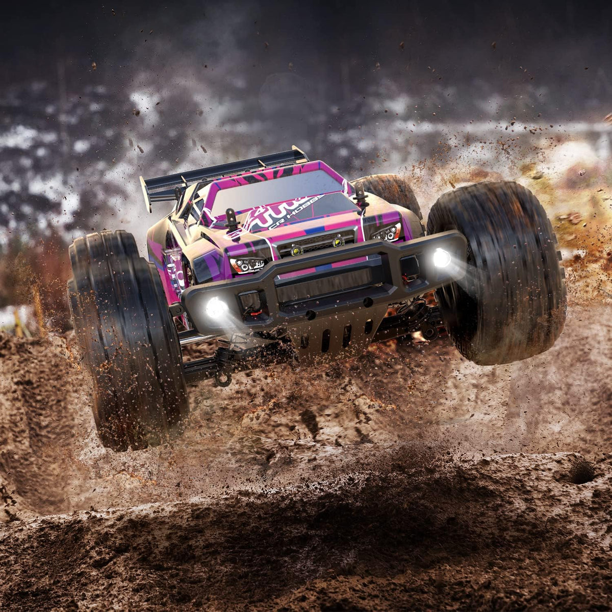 1:10 Brushless High Speed RC Monster Truck D2167