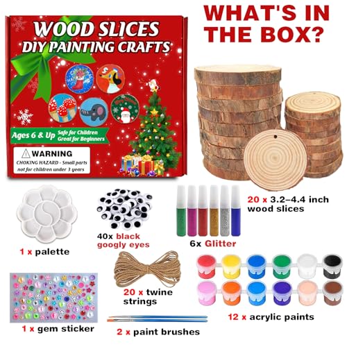 20 Pcs Natural Round Wood Slices Craft Kit R320037