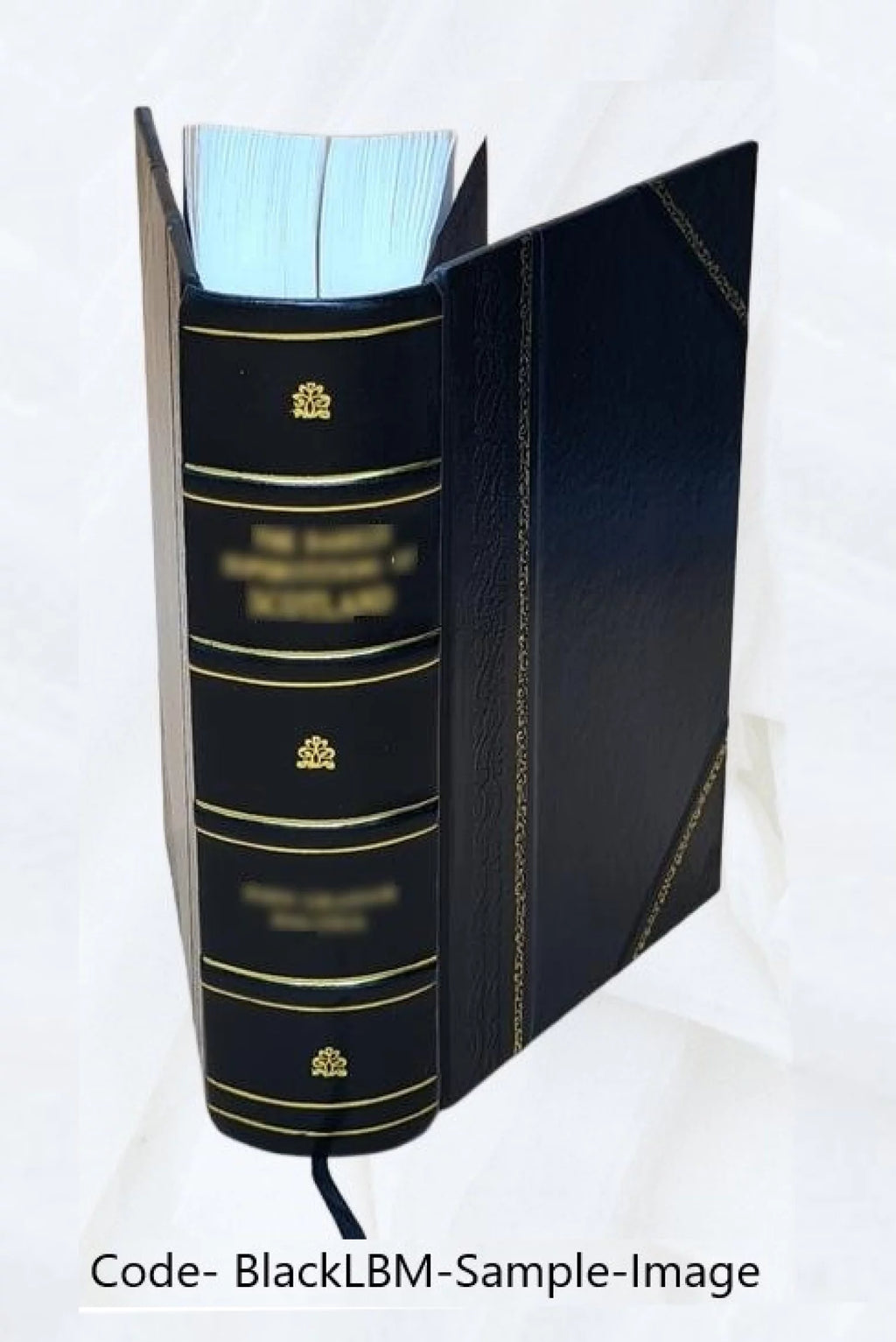 History of St. Charles, Montgomery, and Warren Counties, Missouri Leather Bound O104858