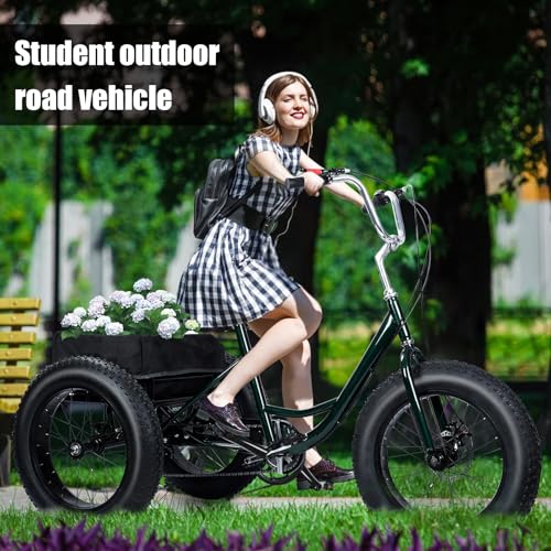 20 Inch 7 Speed Adult Tricycle with Double Disc Brake C994279