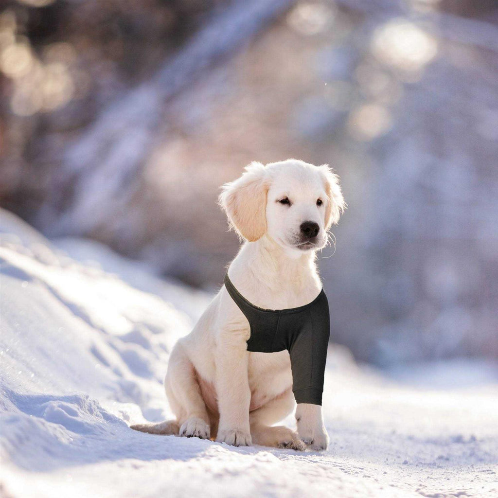Dog Recovery Sleeve Z7671