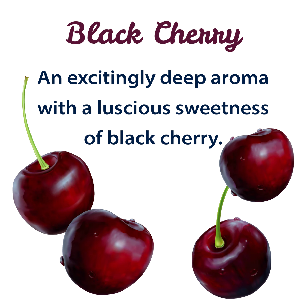 Black Cherry Sparkling Spring Water 12 Pack 42 oz Bottles H93976