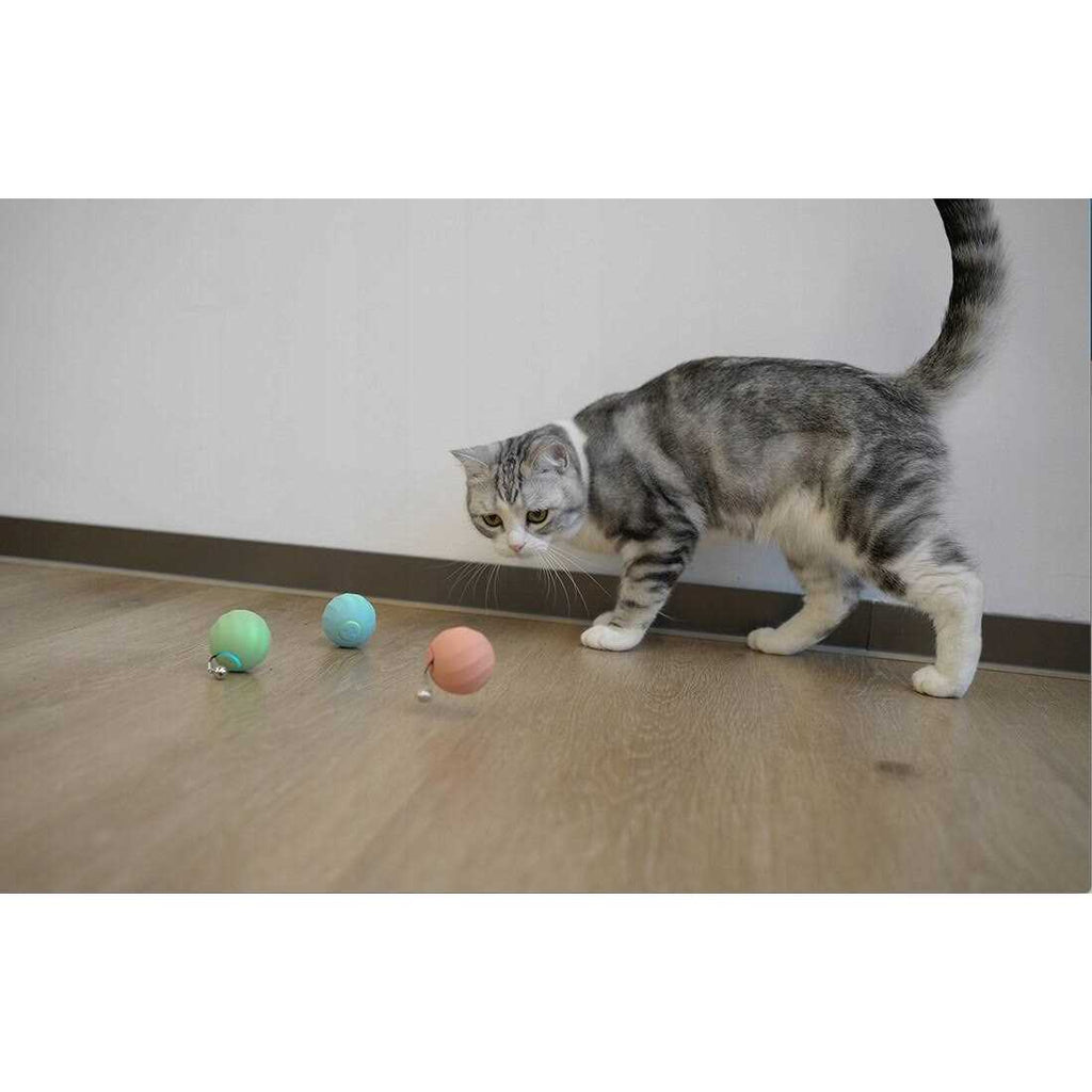 Interactive Cat Toy Ball K68796