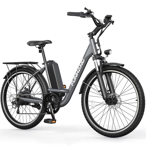 26" 1000W Peak Electric Bike with 48V Removable Li-ion Battery W563