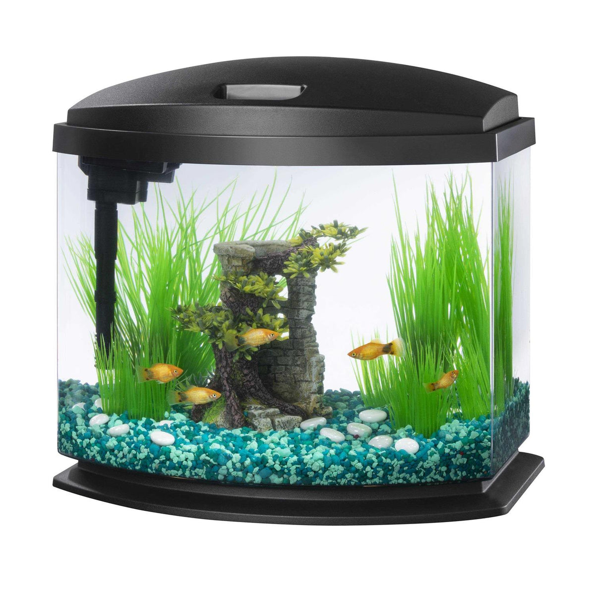 LED Aquarium Kit Y56903