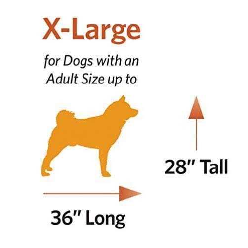 Double Door Dog Crate K269965