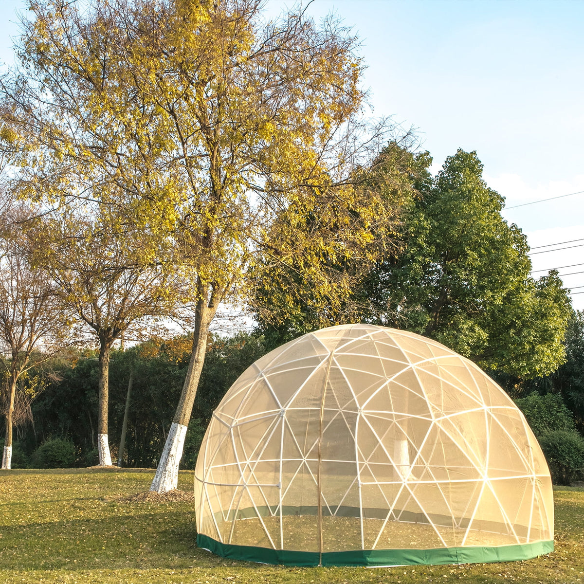 Dome Igloo Bubble Tent with PVC Cover and Mesh Cover T504