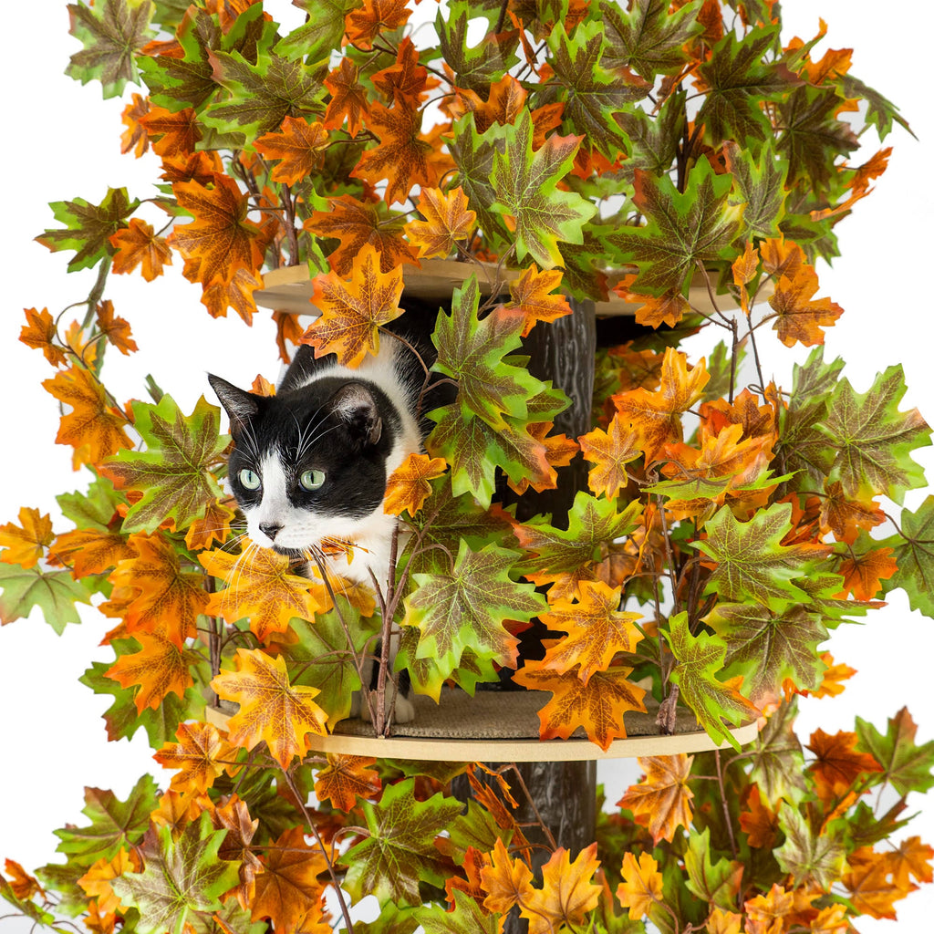 Large Square Cat Tree H340602