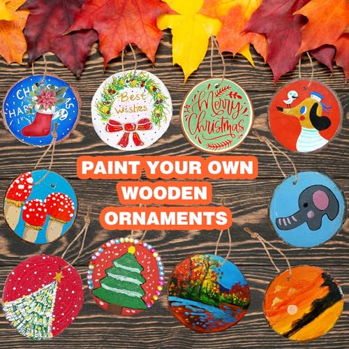 20 Pcs Natural Round Wood Slices Craft Kit R320037