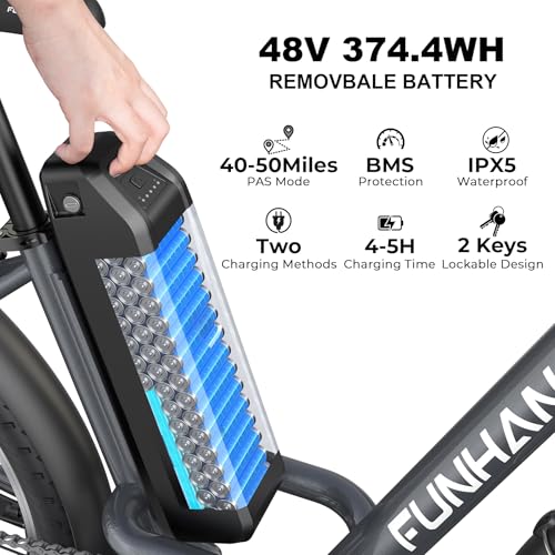 26" 1000W Peak Electric Bike with 48V Removable Li-ion Battery W563