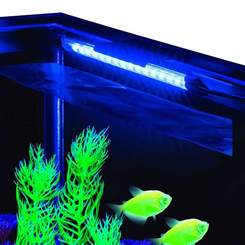 Blue LED Light W21080