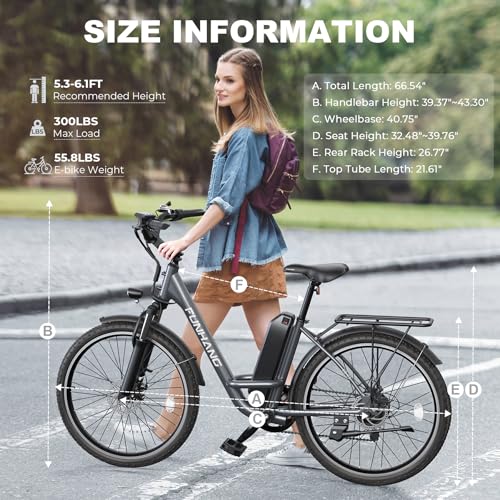 26" 1000W Peak Electric Bike with 48V Removable Li-ion Battery W563