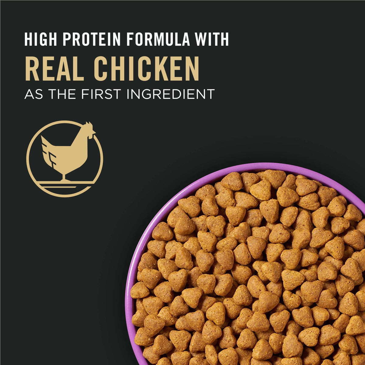 High Protein Chicken & Rice Dry Dog Food 6 lb D56493