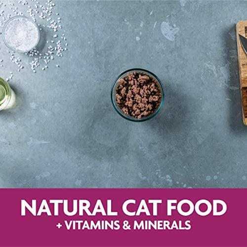 Liver Recipe Wet Cat Food P40519