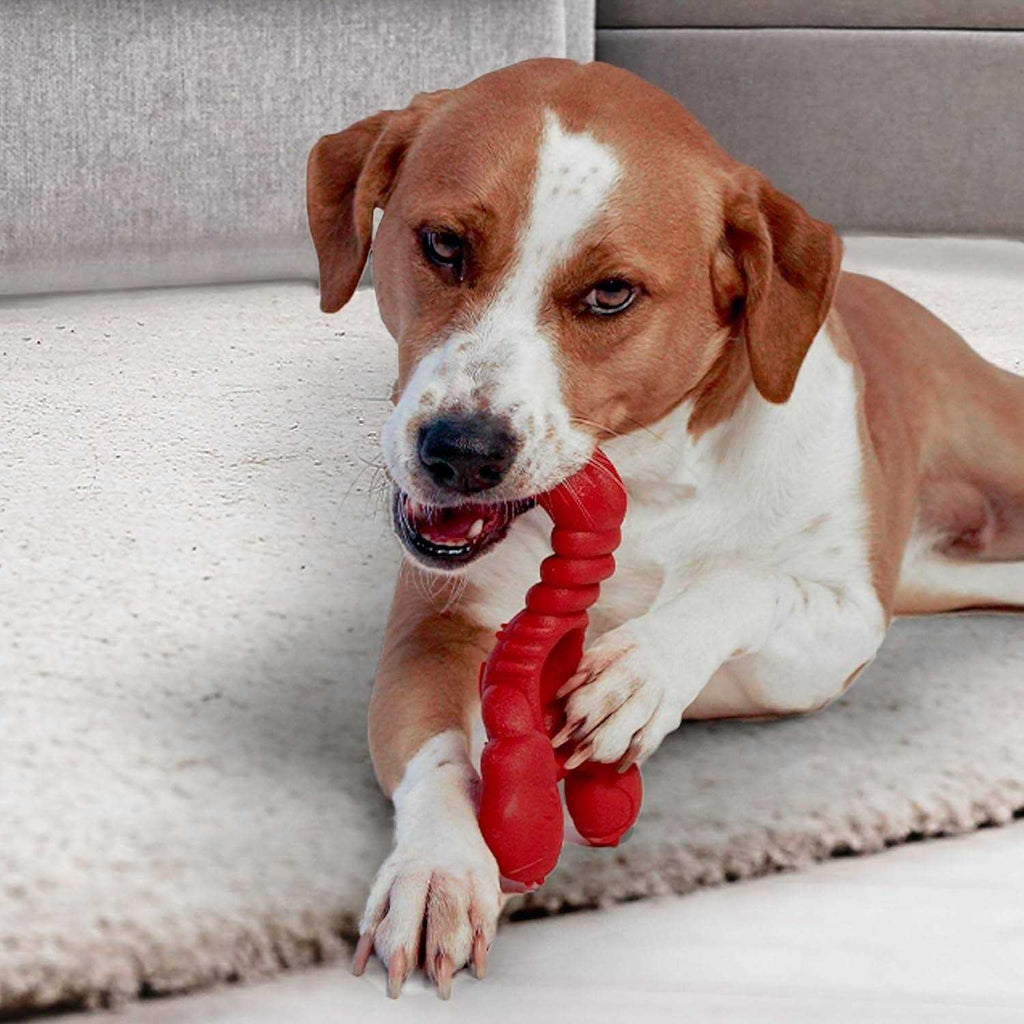 Power Chew Lobster Dog Toy Filet Mignon Z803402