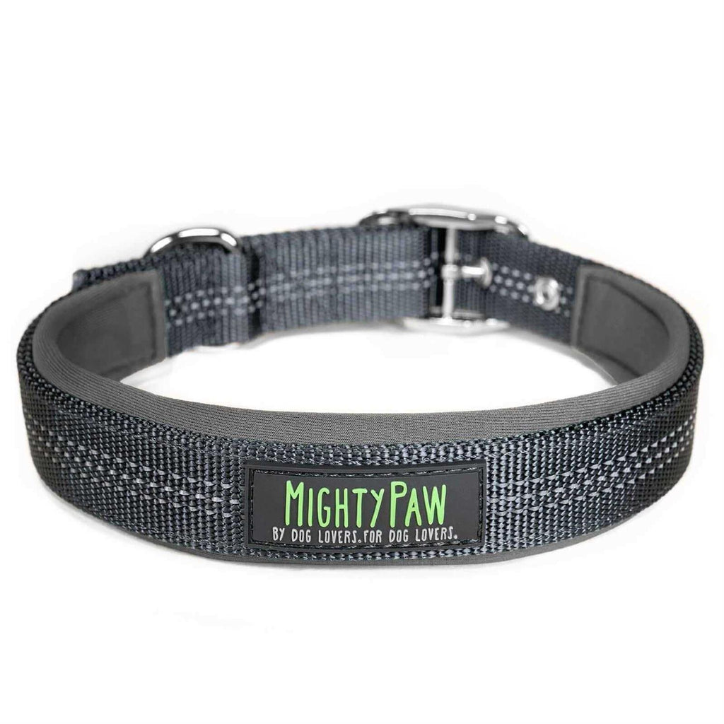 Dog Collar W319279