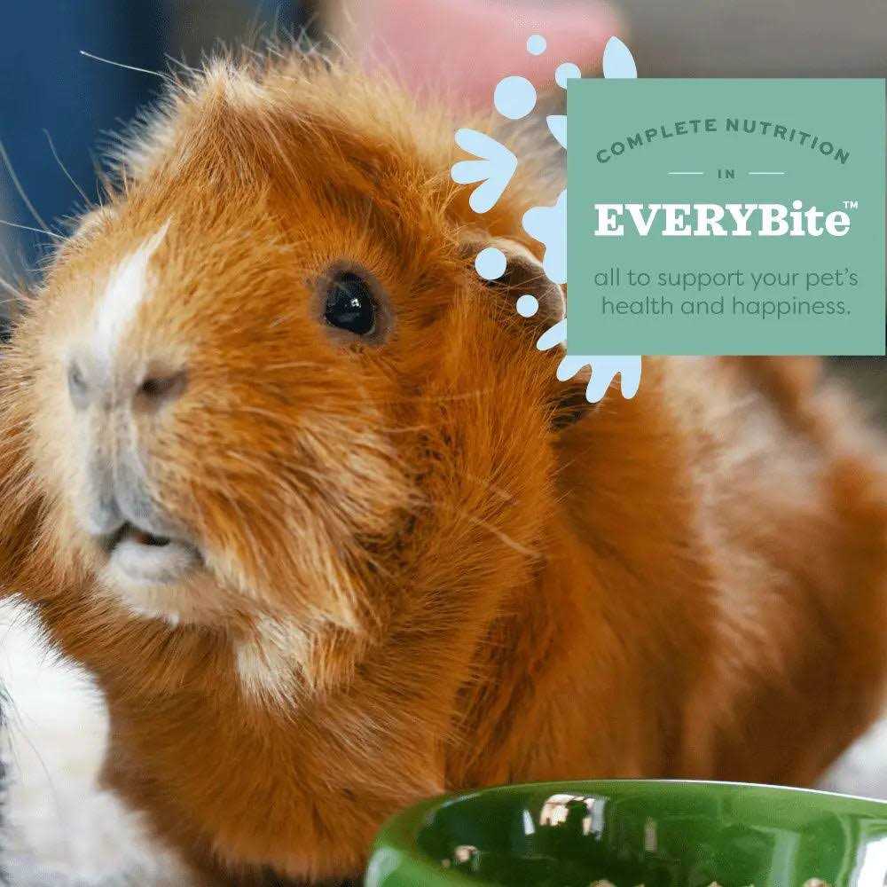 Adult Guinea Pig Food R9896