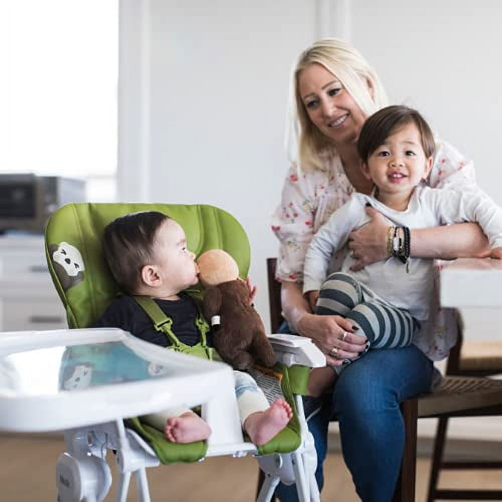 National Park Foundation Edition Nook Stroller H445