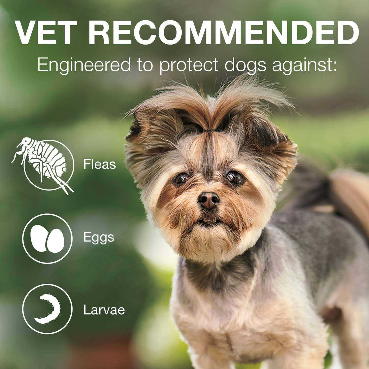 Advantage II for Dogs 3 F5617