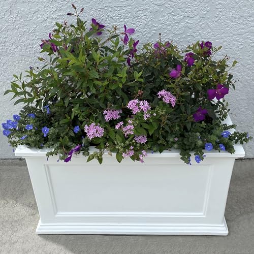 Black Rectangle Planter with Built-In Water Reservoir C83877