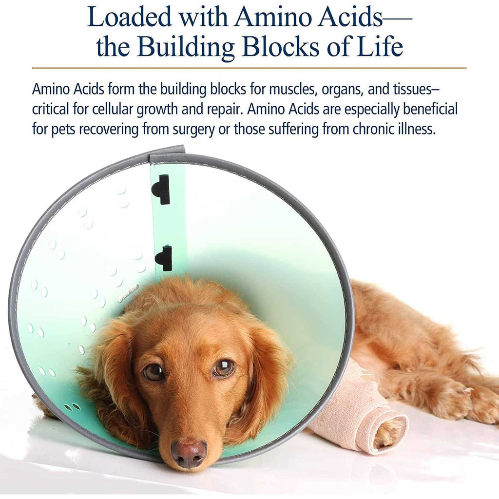 Amino B Plex for Pets W654