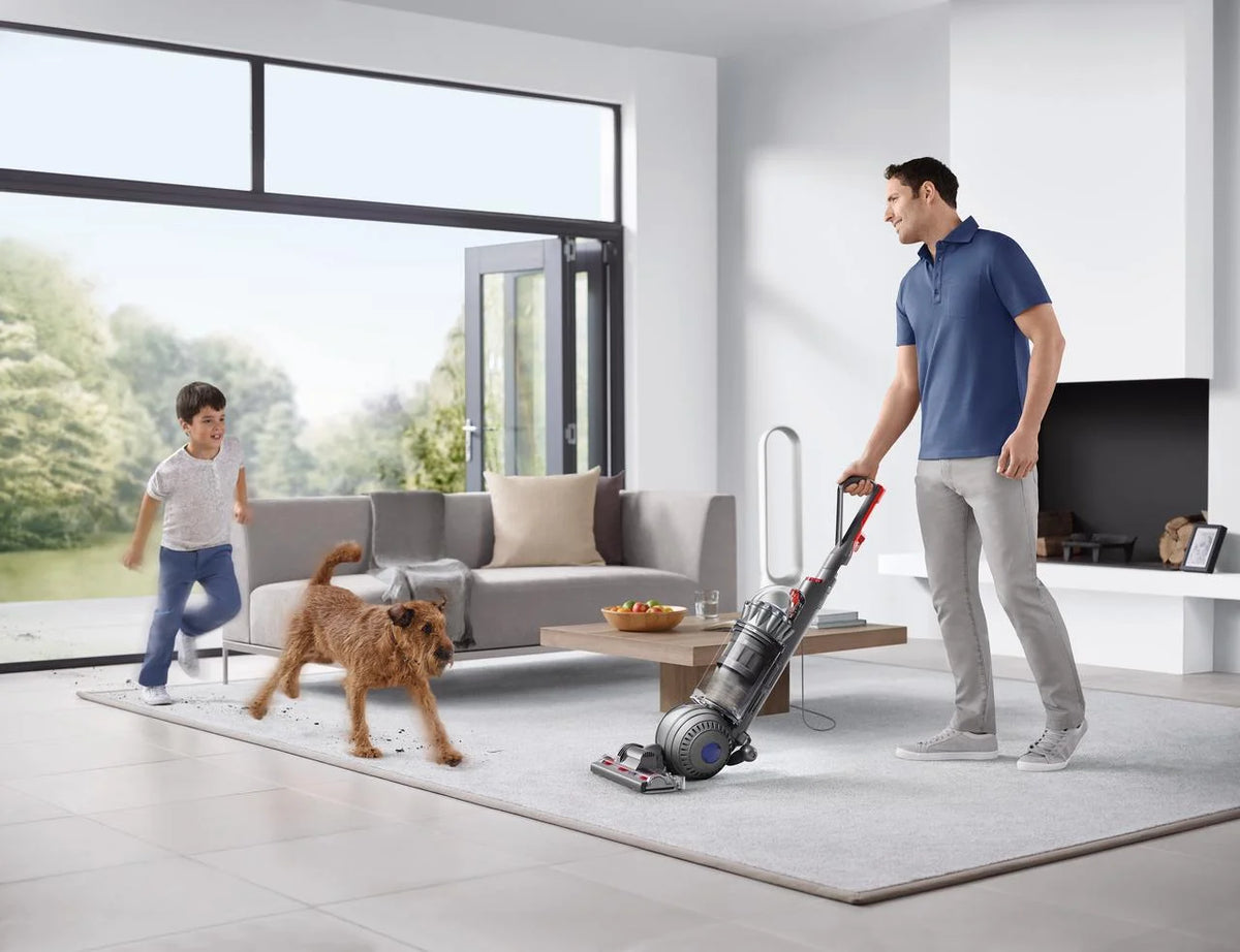 Iron Upright Vacuum Y239088