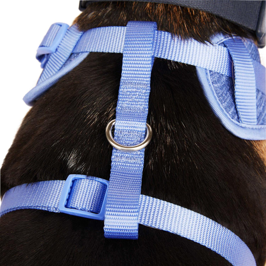Heather Pullover Dog Harness C9268