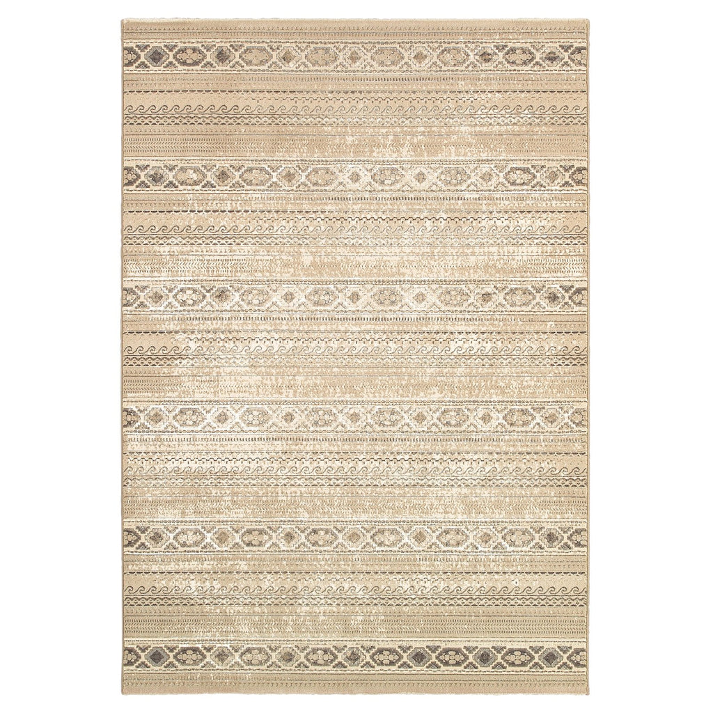 Area Rug A778