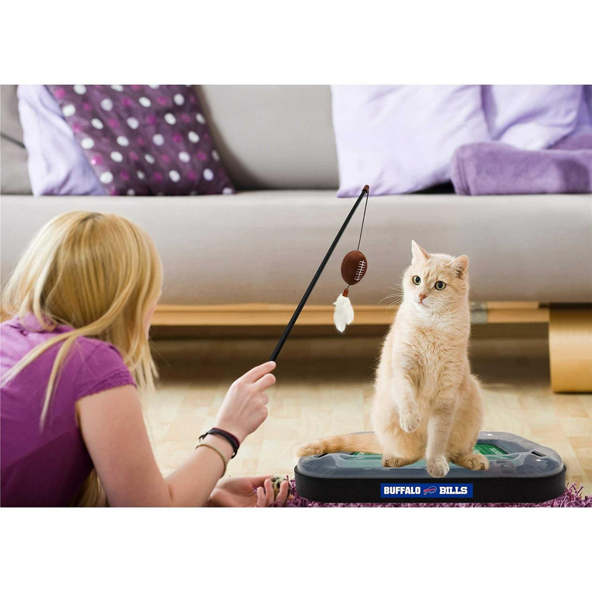 Cat Scratcher C6076
