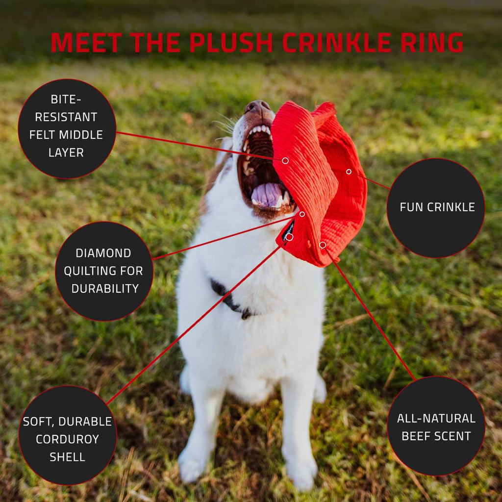 Plush Crinkle Ring Beef Scented Dog Toy G521