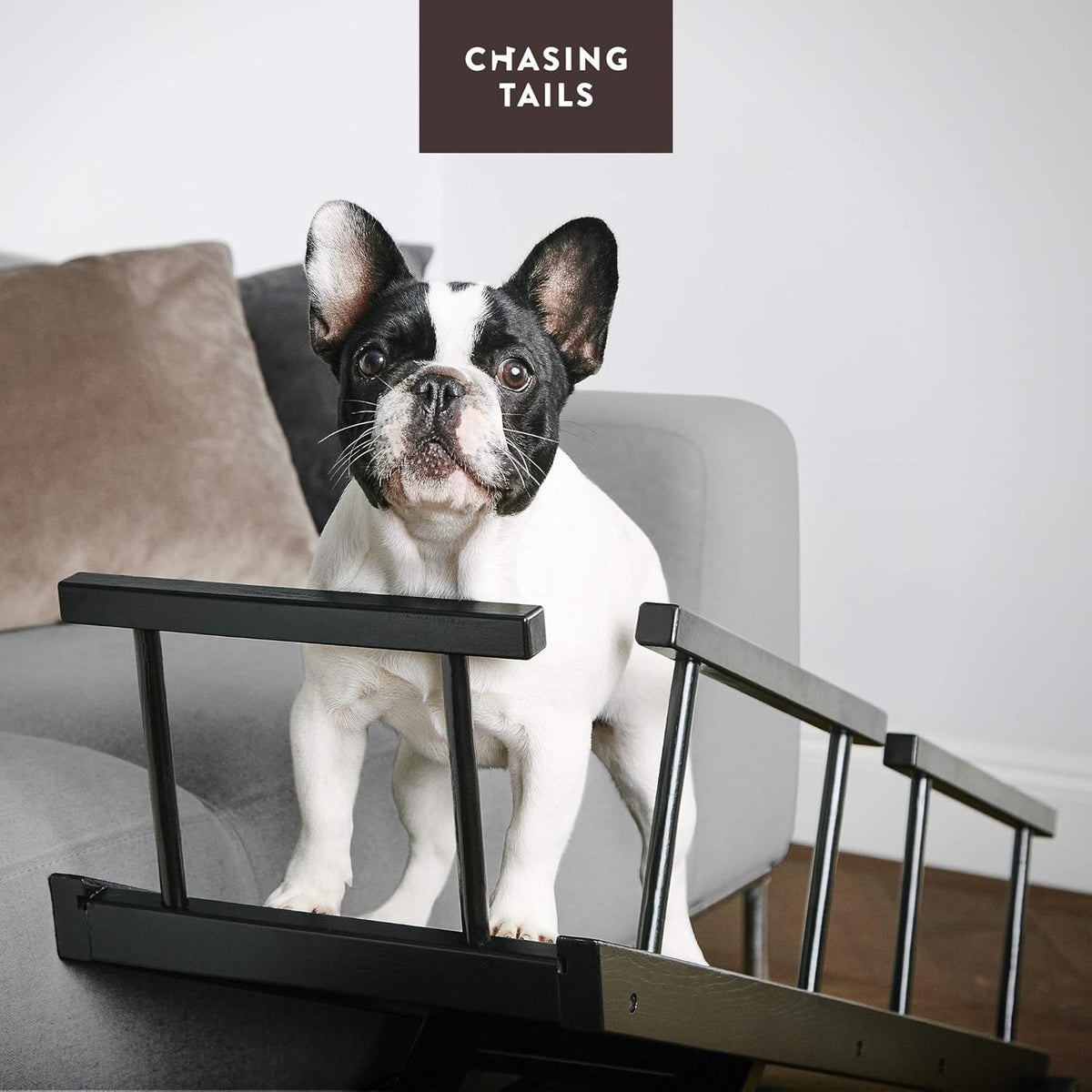 Dog Ramp with Side Rails, Adjustable Height 10 to 20 Inches Z3567